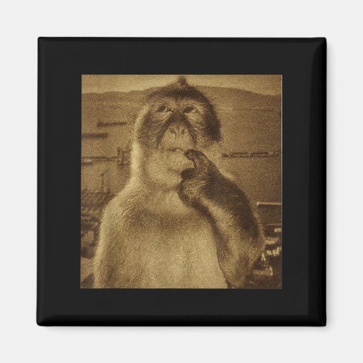 Denkender Affe Meme Vintage Retro Magnet (Vorne)