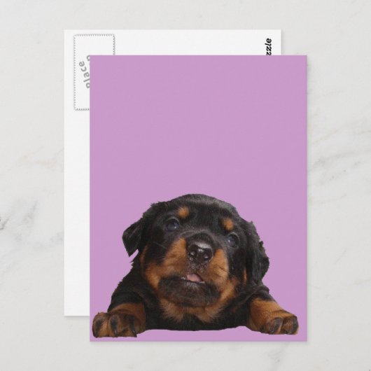 Denkfächer Postkarte (Vorne/Hinten)