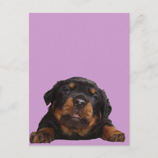 Denkfächer Postkarte