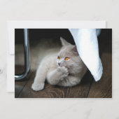 Denkkatze Einladung (Rückseite)