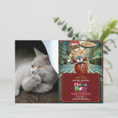 Denkkatze Einladung (Stehend Vorderseite)