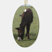 Denkmal Jenny Lynn Keramikornament (Links)