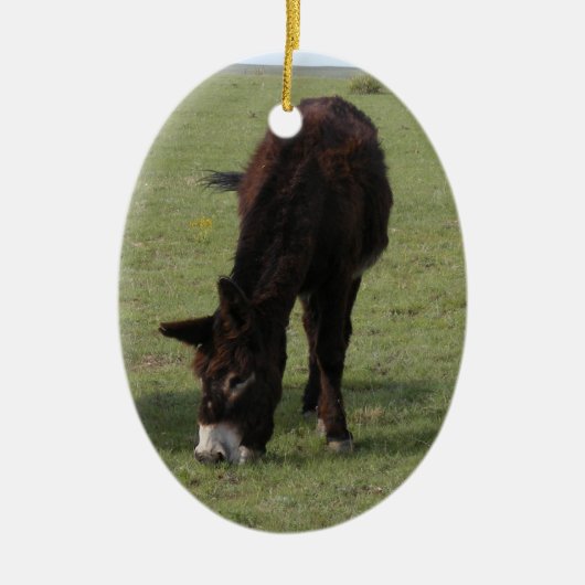 Denkmal Jenny Lynn Keramikornament (Vorne)