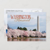 Denkmal von Washington mit Kirschblüten Postkarte (Vorne/Hinten)