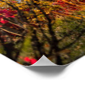 Denkmäler | Basilische Kathedrale Moskau Poster (Ecke)