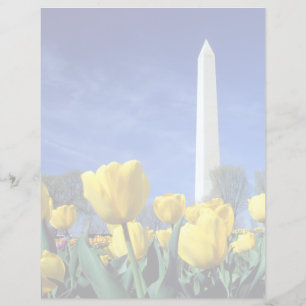 Denkmäler   Denkmal von Washington im Frühjahr