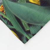 Denkmäler | Denkmal von Washington im Frühjahr Fleecedecke (Ecke)