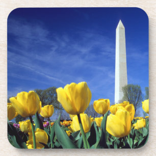Denkmäler Denkmal von Washington im Frühjahr Getränkeuntersetzer