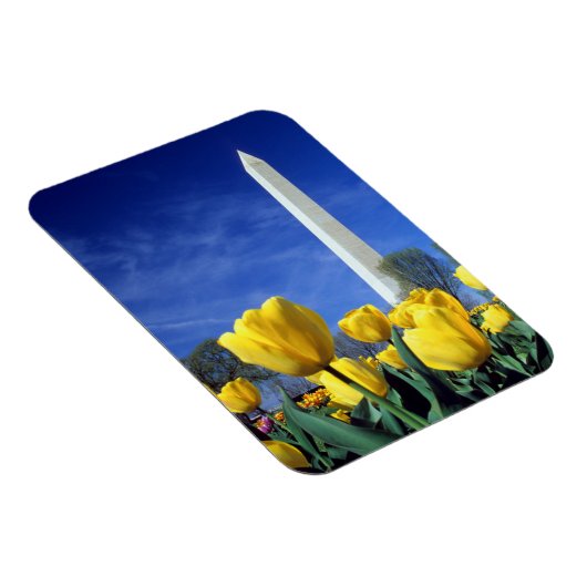 Denkmäler | Denkmal von Washington im Frühjahr Magnet (Rechte Seite)