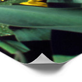 Denkmäler | Denkmal von Washington im Frühjahr Poster (Ecke)