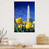 Denkmäler | Denkmal von Washington im Frühjahr Poster (Küche)