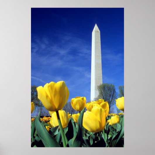 Denkmäler | Denkmal von Washington im Frühjahr Poster (Vorne)