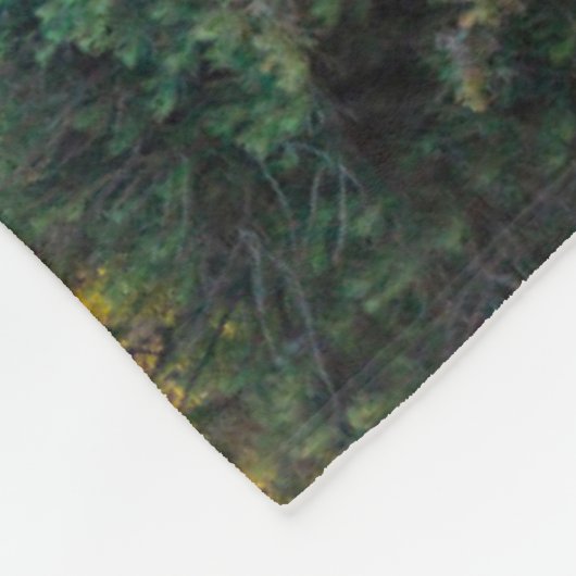 Denkmäler | Golden Gate San Francisco Fleecedecke (Ecke)