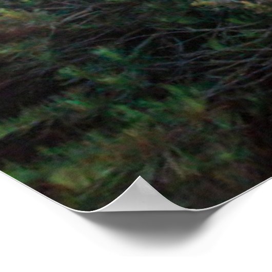 Denkmäler | Golden Gate San Francisco Poster (Ecke)