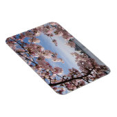 Denkmäler | Jefferson Memorial Cherry Blossys Magnet (Rechte Seite)