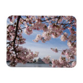Denkmäler | Jefferson Memorial Cherry Blossys Magnet (Horizontal)