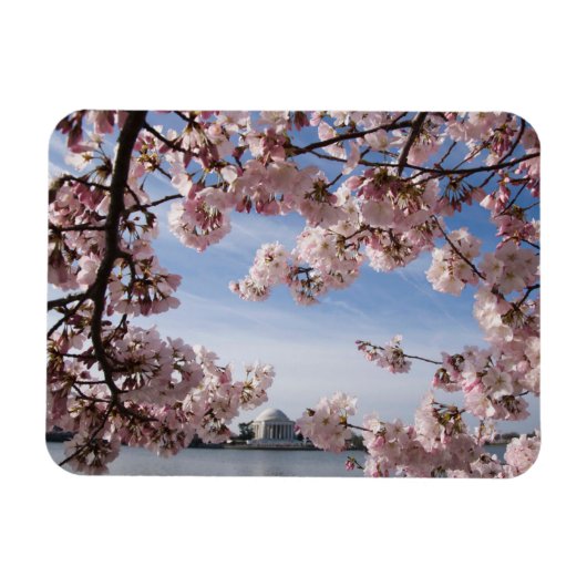 Denkmäler | Jefferson Memorial Cherry Blossys Magnet (Horizontal)
