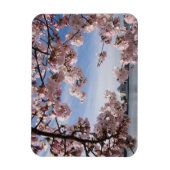 Denkmäler | Jefferson Memorial Cherry Blossys Magnet (Vertikal)