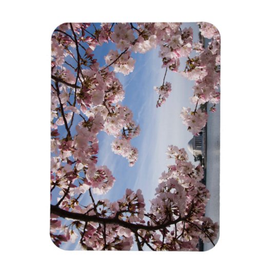 Denkmäler | Jefferson Memorial Cherry Blossys Magnet (Vertikal)