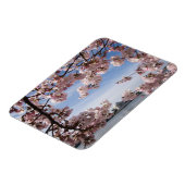 Denkmäler | Jefferson Memorial Cherry Blossys Magnet (Linke Seite)
