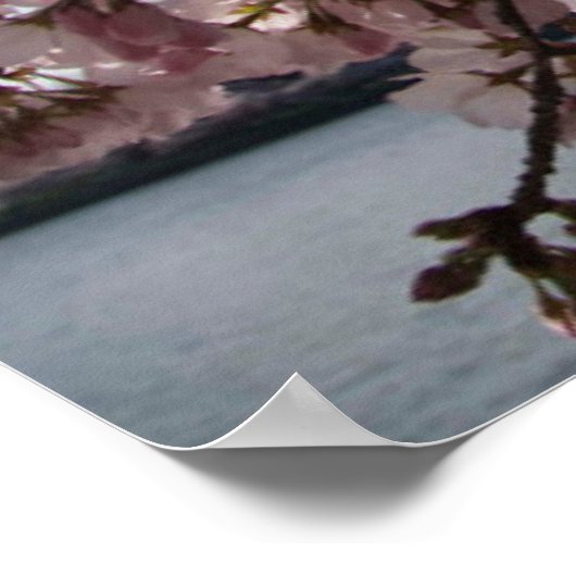 Denkmäler | Jefferson Memorial Cherry Blossys Poster (Ecke)