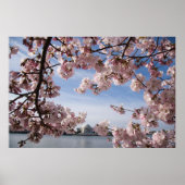Denkmäler | Jefferson Memorial Cherry Blossys Poster (Vorne)