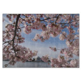 Denkmäler | Jefferson Memorial Cherry Blossys Schneidebrett (Vorderseite)