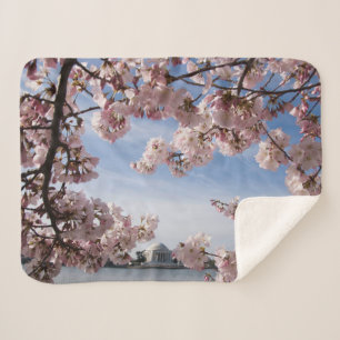 Denkmäler   Jefferson Memorial Cherry Blossys Sherpadecke