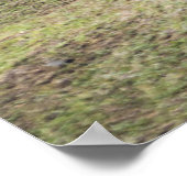 Denkmäler | Osterinsel, Chile Poster (Ecke)