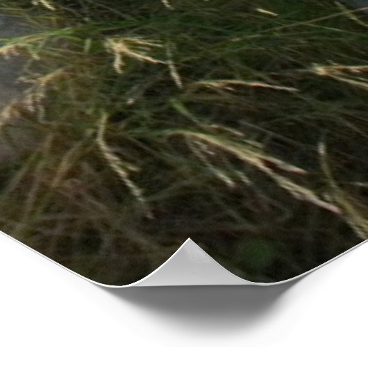 Denkmäler | Parthenon Athen, Griechenland Poster (Ecke)