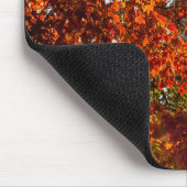 Denkmäler | Washington-Denkmal im Herbst Mousepad (Ecke)