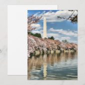 Denkmäler | Washington Memorial Dankeskarte (Vorne/Hinten)