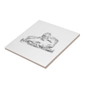 Denkmalpfarrkirche des Zweiten Weltkriegs Fliese (Seite)