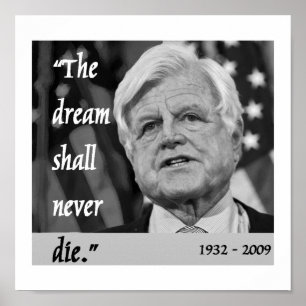 Denkmalplakat Ted Kennedy Poster