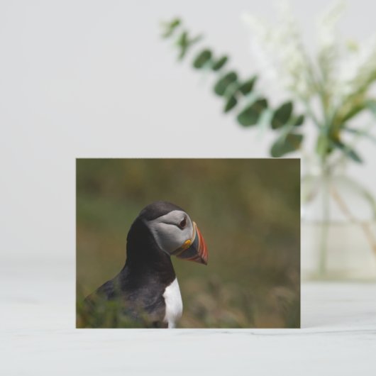 Denkpuffin Postkarte (Stehend Vorderseite)