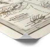 Denmark Atlas Map with 5 inset maps Poster (Ecke)