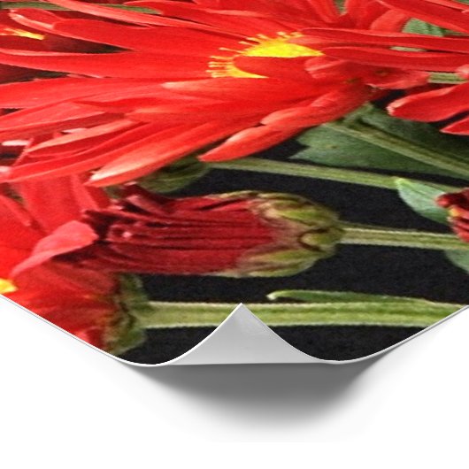 Denn es ist durch Gnade Poster (Ecke)