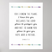 Denn ich kenne die Pläne, die ich für Sie habe Dru Poster (Vorne)