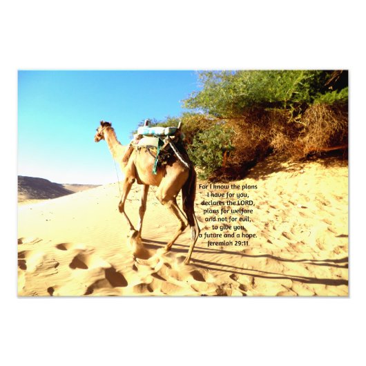Denn ich weiß, die Pläne habe ich .... Jeremiah 29 Fotodruck (Vorne)