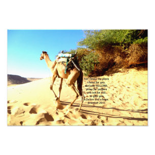 Denn ich weiß, die Pläne habe ich ....  Jeremiah Fotodruck