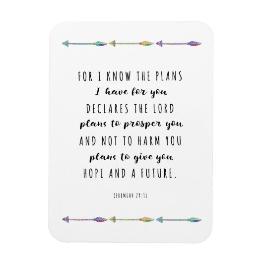 Denn ich weiß, ich habe Pläne für Sie Magnet (Vertikal)