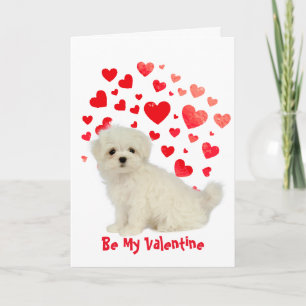 Denn ich wöhe Liebe Sie Malteser Hundewal Feiertagskarte