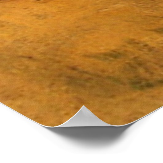 Dennis Miller Bunker's Beached Poster (Ecke)