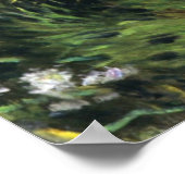 Dennis Miller Bunker's Wild Asters Poster (Ecke)