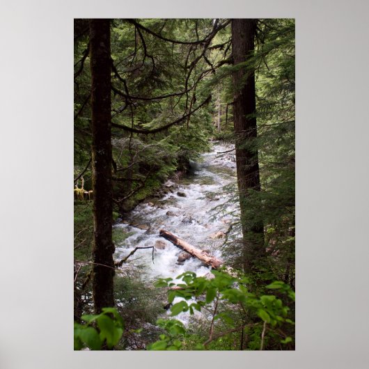 Denny Creek Print Poster (Vorne)
