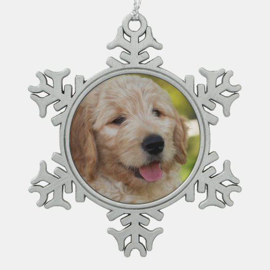 Denny Verzierung Schneeflocken Zinn-Ornament (Vorderseite)