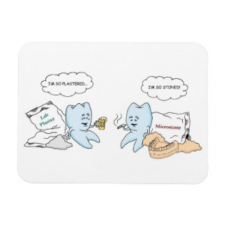 Dental Labrador Magnet