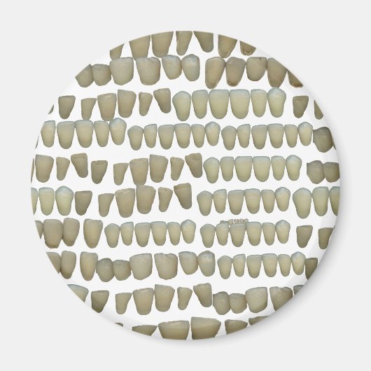 DENTIST DENTISTRY ORTHODONTICS ROTTEN TEETH MOUTH MAGNET (Vorne)