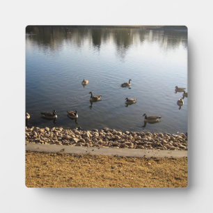 Denver City Park, Denver, Colorado Fotoplatte