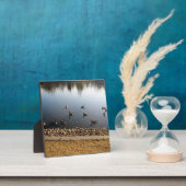 Denver City Park, Denver, Colorado Fotoplatte (InSitu)